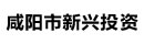 咸陽(yáng)市新興投資
